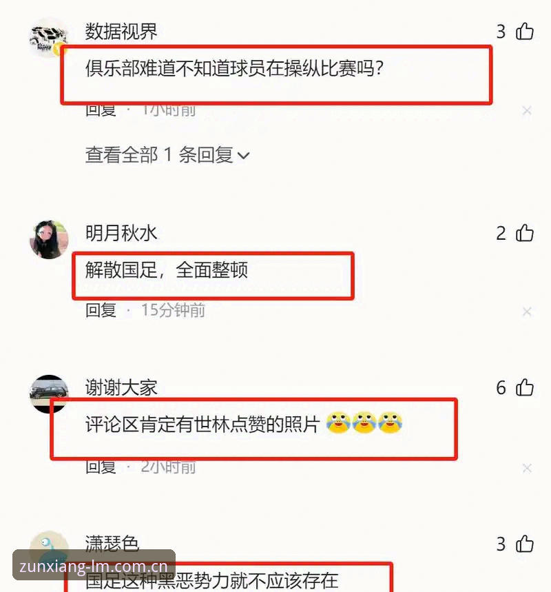 2026lm体育中国用户入口 揭秘中国足坛第三批禁足名单背后的黑金交易链