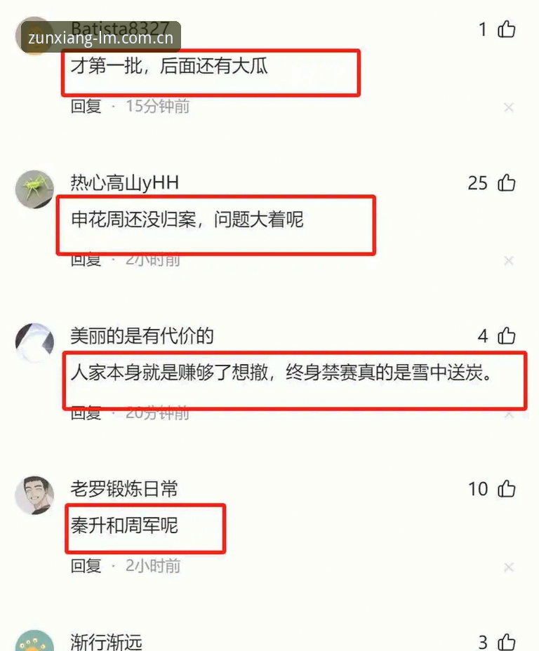2026lm体育中国用户入口 揭秘中国足坛第三批禁足名单背后的黑金交易链