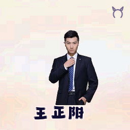王正阳